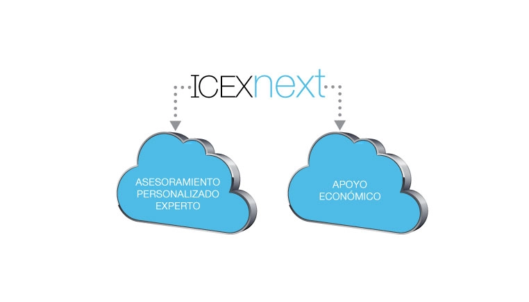 Grupo Camaleón ofrece los servicios de análisis de modelo de negocio digital del programa Next del ICEX