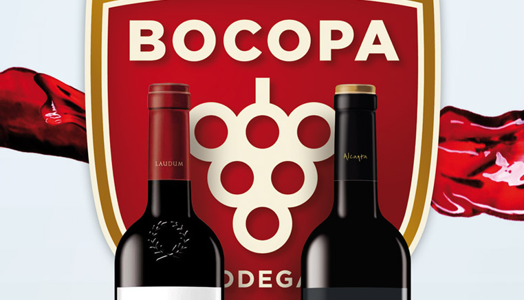 Consultoría internacional PIPE para Bodegas Bocopa por Grupo Camaleón Creativos