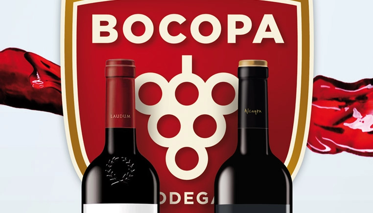 Consultoría internacional PIPE para  Bodegas Bocopa por Grupo Camaleón Creativos