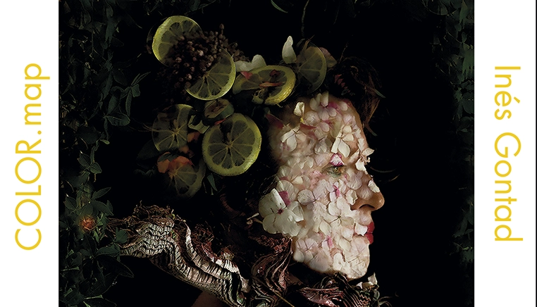 Diseño gráfico de la exposición Color.map