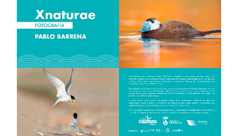 Exposición del fotógrafo Pablo Barrena.