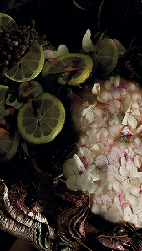 Diseño gráfico de la exposición Color.map